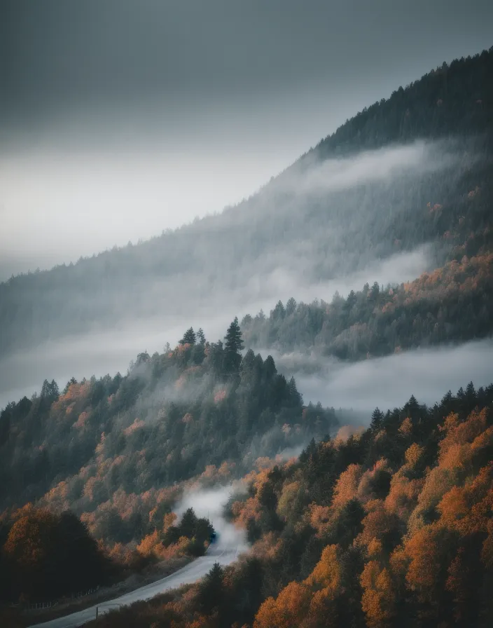 Esta é uma foto de uma estrada que serpenteia por um desfiladeiro de montanha. As montanhas são cobertas por uma densa floresta, com as árvores exibindo uma variedade de cores de outono. A estrada está cercada por uma espessa neblina, que obscurece a visão do vale abaixo. O único outro sinal visível da presença humana é um carro solitário subindo a estrada. A imagem é tanto bela quanto serena, capturando a beleza da natureza e o isolamento do desfiladeiro de montanha.