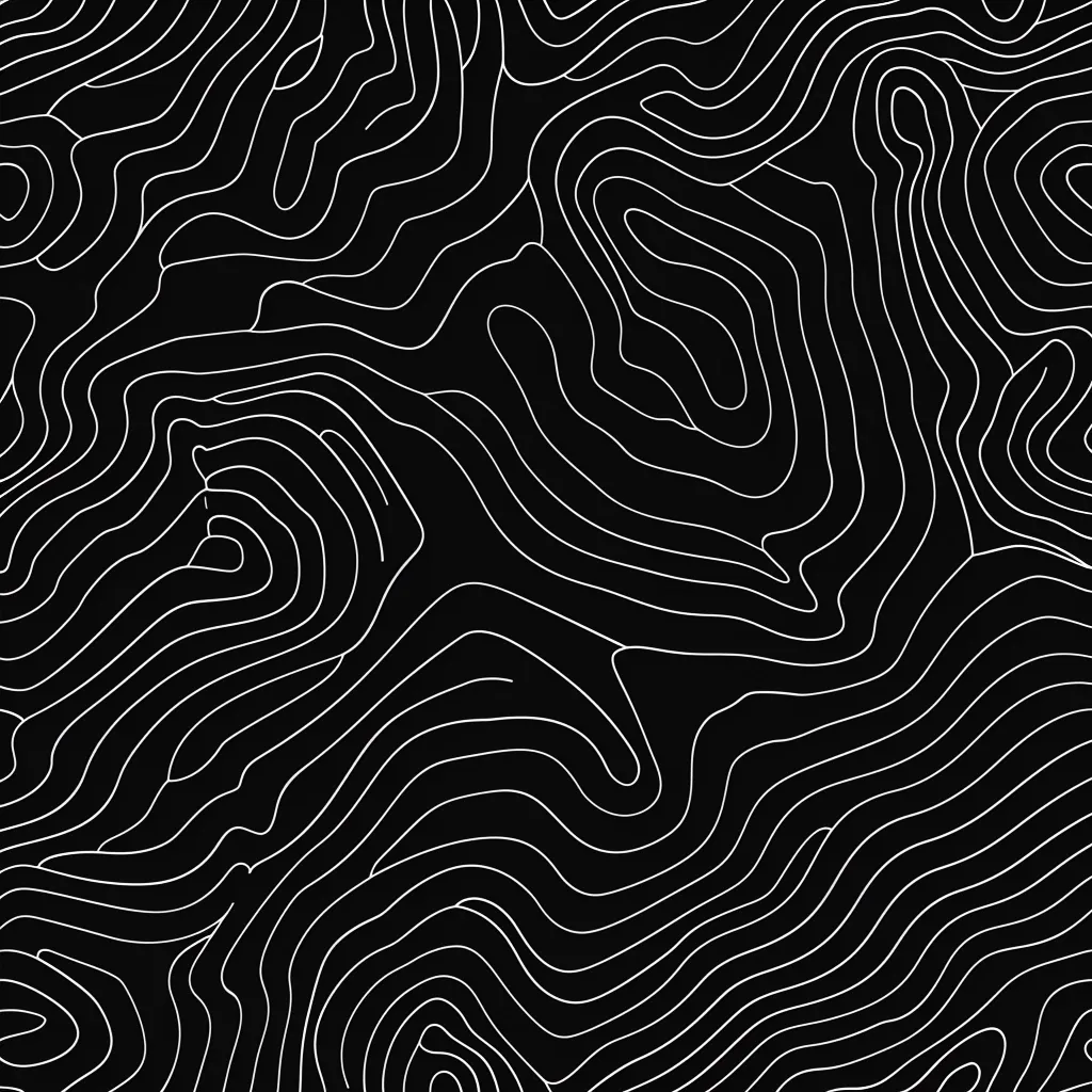 The image is an abstract pattern of white lines on a black background. The lines form a series of undulating, looping shapes that resemble topography lines on a map. The overall effect is one of depth and movement, as if the lines are flowing and shifting across the surface.