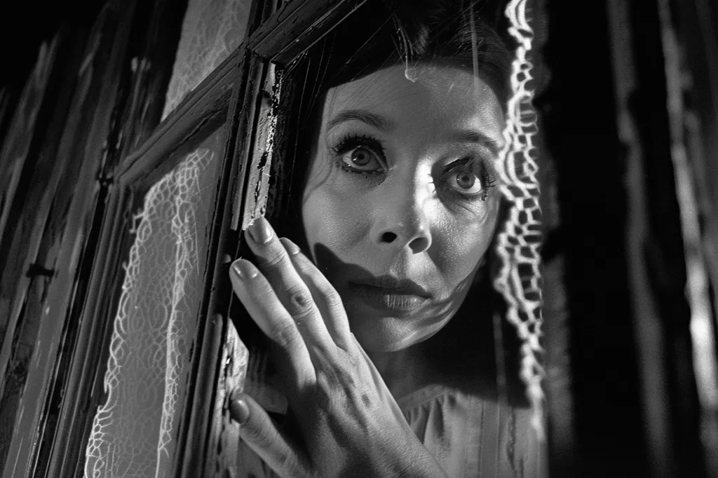 A woman's face is partially visible through a window, her large eyes staring out in fear. The scene is dimly lit, casting shadows across her features and highlighting the lace curtain that obscures her. Her hand rests on the windowpane, her fingers spread wide as if she is reaching out. The image evokes a sense of unease and suspense.