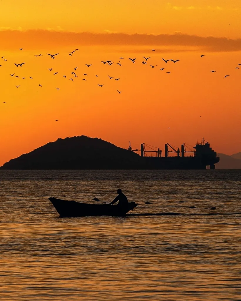 The image captures a serene sunset over a body of water. A lone figure rows a small boat across the still water, silhouetted against the fiery orange sky. A large cargo ship sits anchored in the distance, its outline barely visible against the bright horizon. The sky is filled with the silhouettes of birds in flight, their forms creating a delicate pattern against the sunset. The overall feeling of the image is one of peace, tranquility, and the beauty of a natural scene.