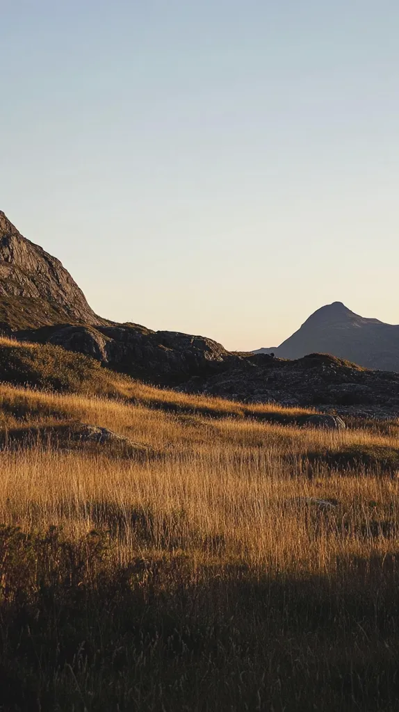 The image captures a serene landscape with a vast expanse of golden grass stretching out towards the horizon. In the distance, two mountain peaks rise against a clear, light blue sky. The sun is setting, casting long shadows across the field and creating a warm, inviting atmosphere. The scene is one of tranquility and natural beauty.
