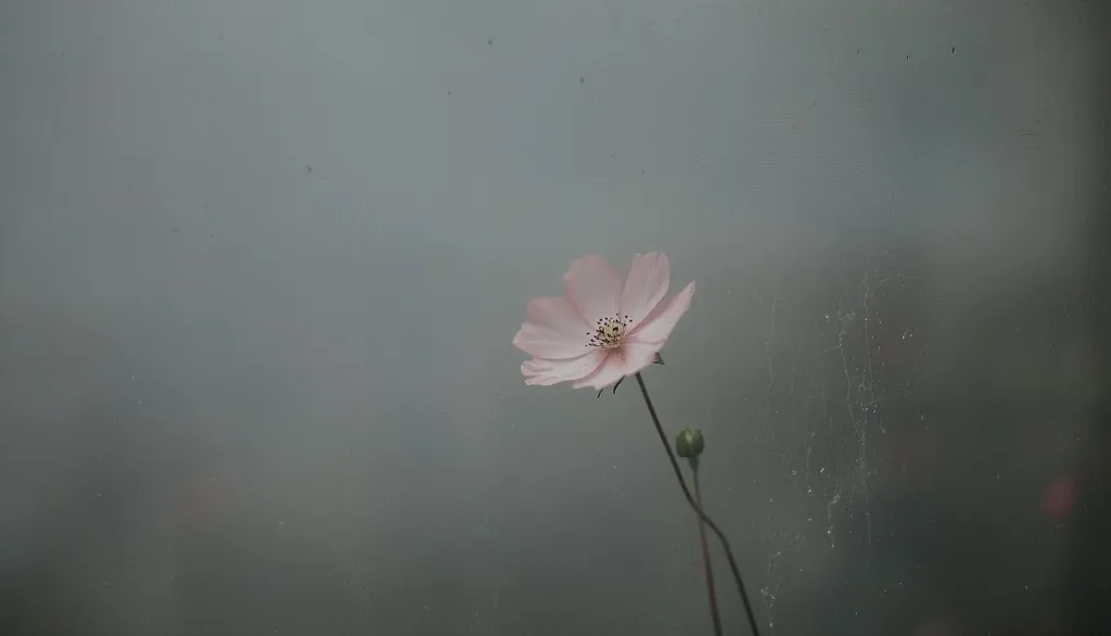 A single pink flower with a delicate stem stands out against a blurry gray background. The flower has a soft, almost translucent quality, with a slightly darker center. It appears to be in focus while the background is intentionally blurred, emphasizing the flower's fragility and beauty. The image evokes a sense of tranquility and solitude.