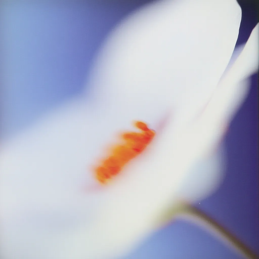 Here is a description of the image:

The photograph is a soft-focus close-up of a white flower against a blurred blue-purple background. The flower's petals are predominantly white, with a subtle hint of translucency.  A small area of intense orange-red is visible near the center, likely the flower's stigma or stamen. The overall effect is ethereal and dreamlike, emphasizing the delicate texture and gentle hues of the subject.  The blurred background and shallow depth of field draw the viewer's eye to the central, slightly out-of-focus flower.