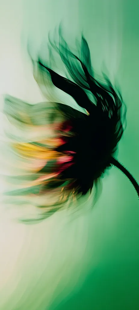 The image is an abstract representation of a flower, likely a daisy or similar type, in motion.  The petals are blurred, suggesting movement, and rendered in shades of green, with hints of yellow and red at the center.  The dark, almost silhouetted core contrasts with the lighter, more translucent outer petals. The background is a soft, graduated green, enhancing the ethereal and dynamic feel of the composition. The overall effect is one of fluidity and vibrant energy.