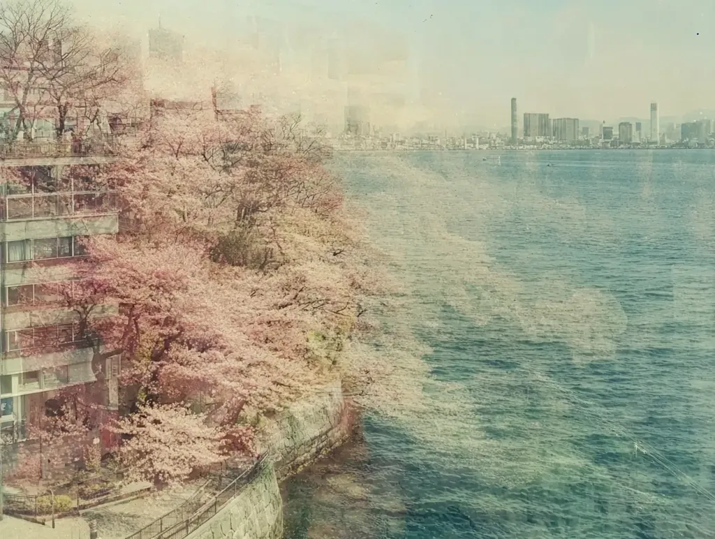 Here's a description of the image:

The image presents a serene, slightly vintage-toned view of a cityscape across a body of water.  A foreground of a building partially obscured by a profusion of pale pink cherry blossoms dominates the left. The blossoms extend towards the water's edge, creating a soft contrast to the teal-green water. Across the water, a city skyline is visible, appearing hazy and distant, suggesting a calm, perhaps slightly melancholic atmosphere. The overall effect is dreamlike and peaceful, with the textured filter adding a sense of nostalgia.