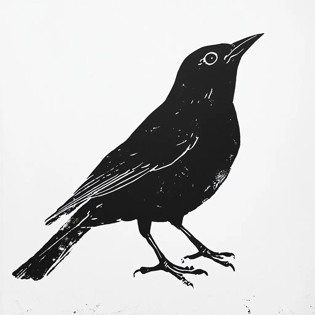 A stark black and white linocut print depicts a bird, possibly a blackbird or similar species.  The bird is rendered in a bold silhouette, its details suggested through the texture of the printmaking process. The bird's posture is alert, head slightly raised, showcasing its form against the plain white background. The style is minimalist, focusing on the bird's shape and presence.