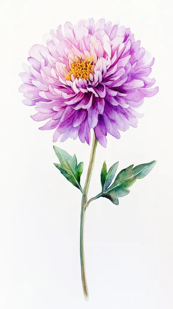A watercolor painting showcases a single, large purple chrysanthemum.  Its numerous petals radiate outwards from a bright yellow center.  Delicate green leaves sprout from the slender stem, extending gracefully downward. The flower is depicted in exquisite detail, capturing the soft texture and subtle color variations of the petals. The overall effect is one of elegance and delicate beauty.