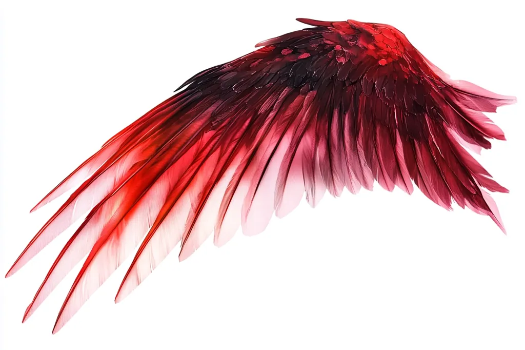 A single, vibrant red bird wing is isolated against a stark white background.  The feathers are richly colored, transitioning from deep crimson at the top to a lighter, almost translucent red at the tips.  The wing's intricate detail and delicate structure are clearly visible, showcasing the beauty and complexity of avian plumage.  The image conveys a sense of grace and freedom.