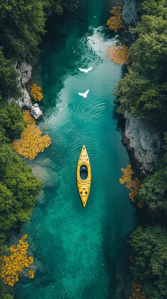 An aerial view captures a vibrant turquoise river flowing through a lush green canyon.  A lone yellow kayak glides peacefully down the center, flanked by two white birds in flight.  The riverbanks are adorned with vibrant yellow foliage, creating a stunning natural contrast.  The scene is serene and idyllic, showcasing the beauty of untouched nature.