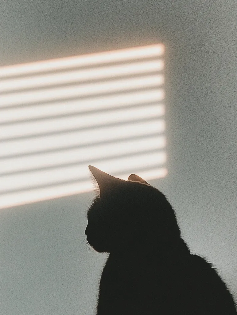 The silhouette of a black cat is captured in profile, positioned against a wall.  Soft, horizontal light streaks from a nearby window illuminate the scene, creating a subtle, calming contrast between the dark feline and the bright, airy background. The cat's posture is relaxed, its gaze directed away from the viewer. The overall mood is serene and contemplative.