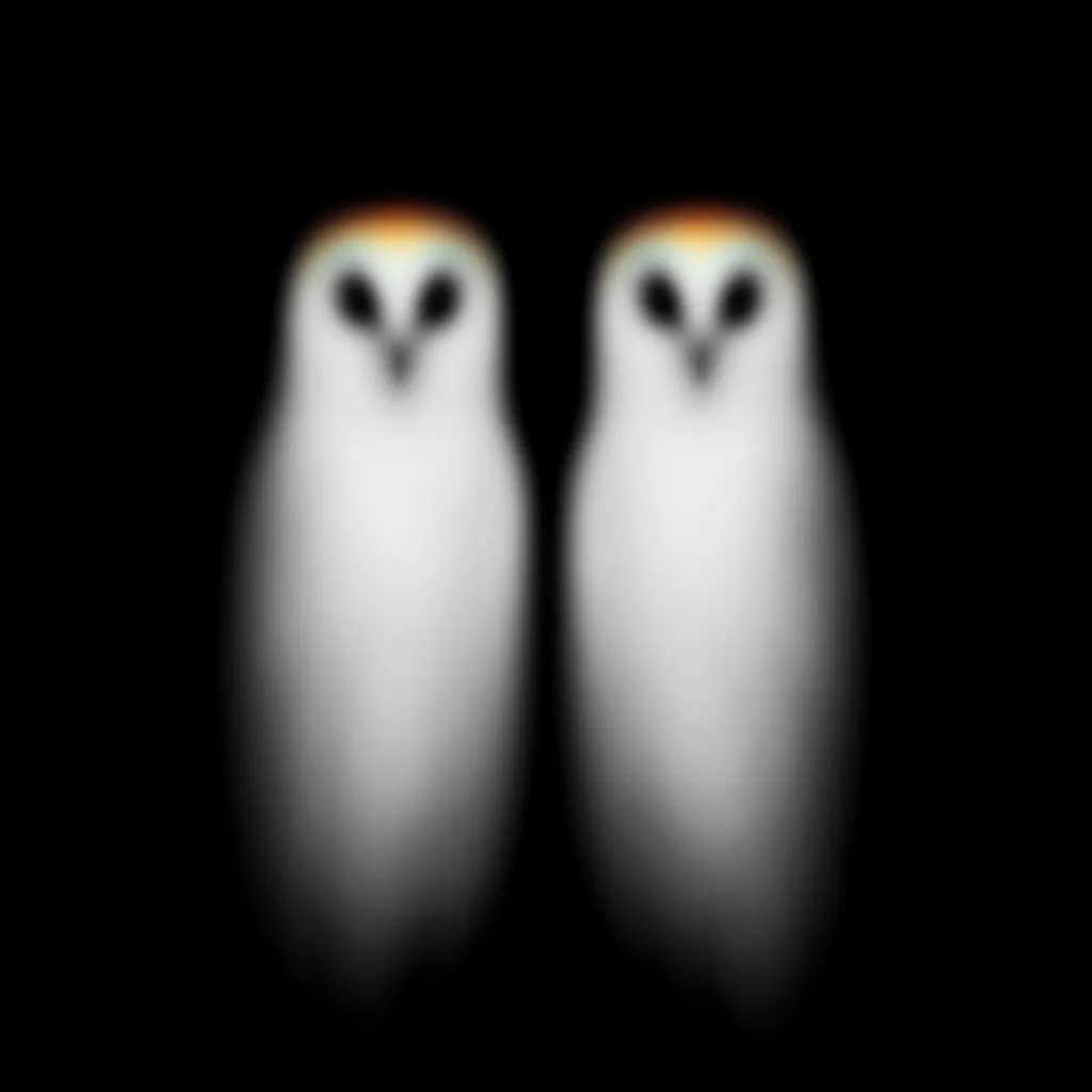 The image shows two blurry, stylized owls facing forward against a black background.  They appear ghostly and ethereal, with a slight orange hue atop their heads.  The owls are positioned symmetrically, creating a mirrored effect.  Their features are indistinct due to the blur, emphasizing a mysterious and somewhat unsettling atmosphere.