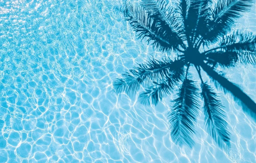 A vibrant overhead shot captures the shimmering turquoise water of a pool.  The surface ripples gently, reflecting sunlight.  Projected onto the water's surface is the distinct shadow of a palm tree, creating a serene and tropical atmosphere. The contrast between the blue water and the dark shadow is striking, evoking a sense of summer and relaxation.