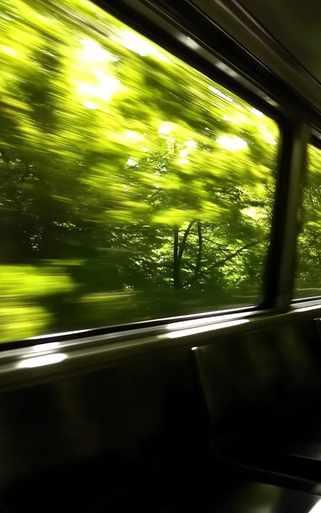 A blurry image viewed from inside a train, showcasing a vibrant green landscape rushing past.  Sunlight filters through the lush trees, creating a bright, dynamic scene.  The motion blur emphasizes the speed of the train, giving a sense of movement and energy. The dark interior of the train contrasts with the bright, vibrant outside.