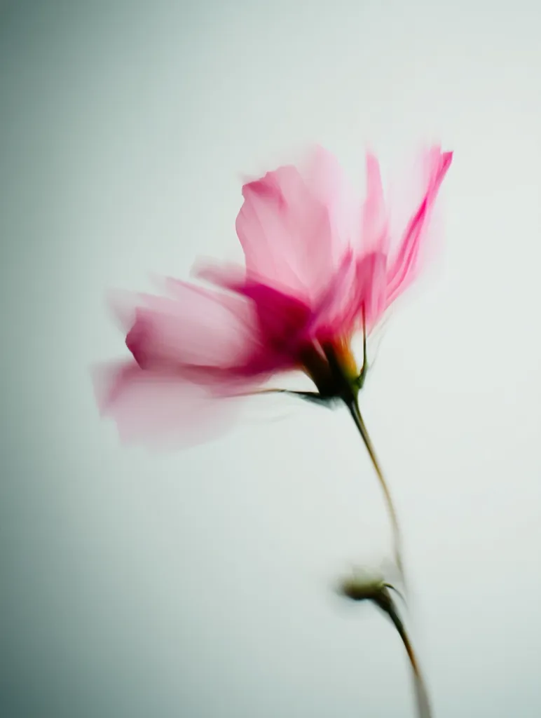 A delicate pink flower, possibly a cosmos, is captured in a soft-focus image.  The petals appear blurred, creating a dreamy, ethereal effect against a muted, light-blue background. The stem extends downwards, leading the viewer's eye through the composition.  The overall mood is serene and peaceful, emphasizing the flower's gentle beauty.