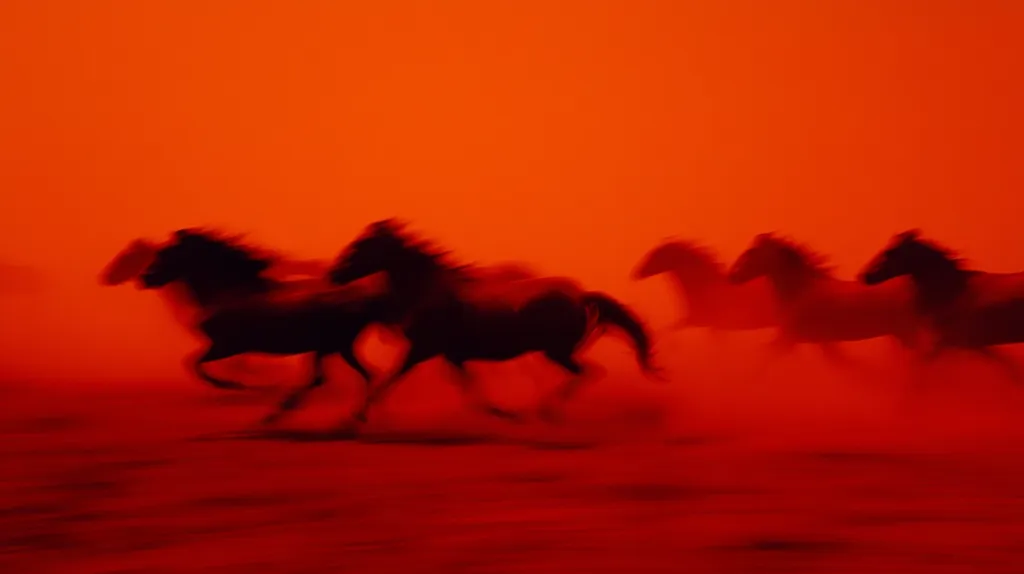 A herd of dark horses gallops across a vibrant red landscape.  Motion blur captures their speed, creating a sense of energy and freedom against the intense, saturated background.  The silhouettes of the horses are stark against the fiery sky, conveying a powerful and dramatic scene.  The overall effect is one of wild beauty and untamed energy.