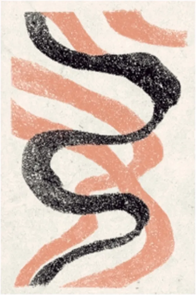 An abstract art print features a dynamic interplay of organic shapes.  A dark charcoal grey, textured line weaves and flows across a lighter, peach-toned background.  The peach strokes are slightly blurred, creating a soft, almost watercolor-like effect that contrasts with the sharp, defined black line. The overall composition is fluid and evokes a sense of movement and energy.