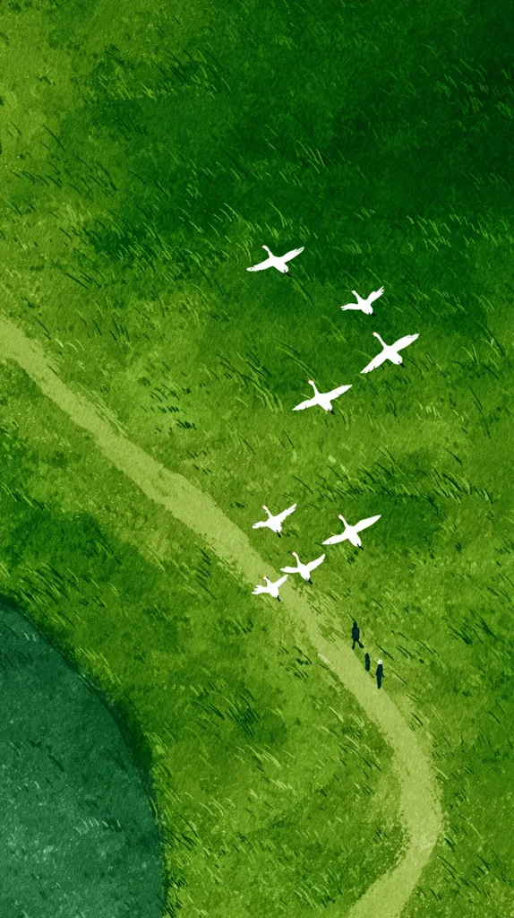 An aerial view of a vibrant green field with a winding path. Seven white birds, possibly swans, fly in formation above the field.  Three small figures walk along the path, their journey mirroring the birds' flight.  The scene evokes a sense of tranquility and the passage of time. The overall style is painterly and slightly abstract.