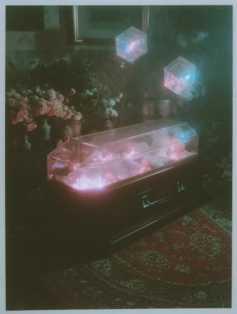 A dimly lit room features a dark wooden coffin-shaped object with a glass top, illuminated from within.  Pinkish light emanates from its interior, which appears to contain soft, fluffy material. Two glowing, translucent, geometric objects float above it. The scene is set against a dark background with a patterned rug and flowers in vases, creating an eerie, dreamlike atmosphere.  The overall impression is surreal and slightly unsettling.